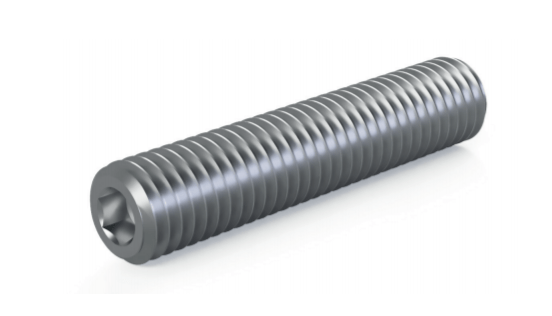 Digital rendering of Termate grub screw