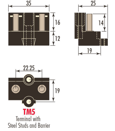Diagram showing the TM5 Terminal with twin M5 steel studs and barrier