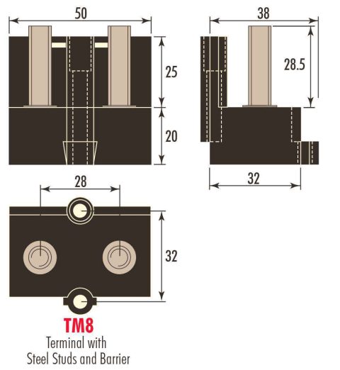 Diagram of the TM8 Terminal with twin M8 steel studs and barrier